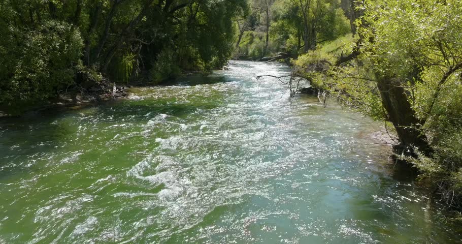 Fast-flowing river winds through lush green forest. Nature