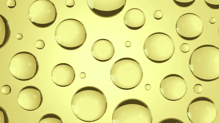 Shutterstock Video