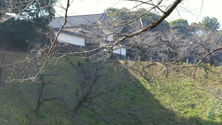 Chidorigafuchi, Japan Tokyo January 2025