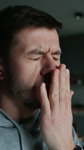 Shutterstock Video