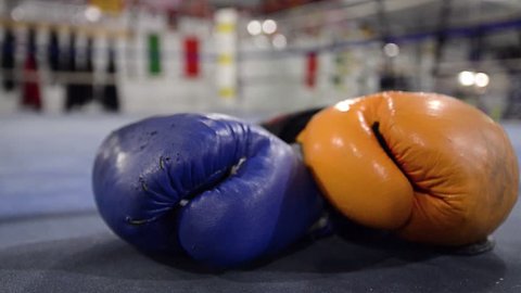 Boxing Gloves - blue and yellow boxing gloves in center of ring