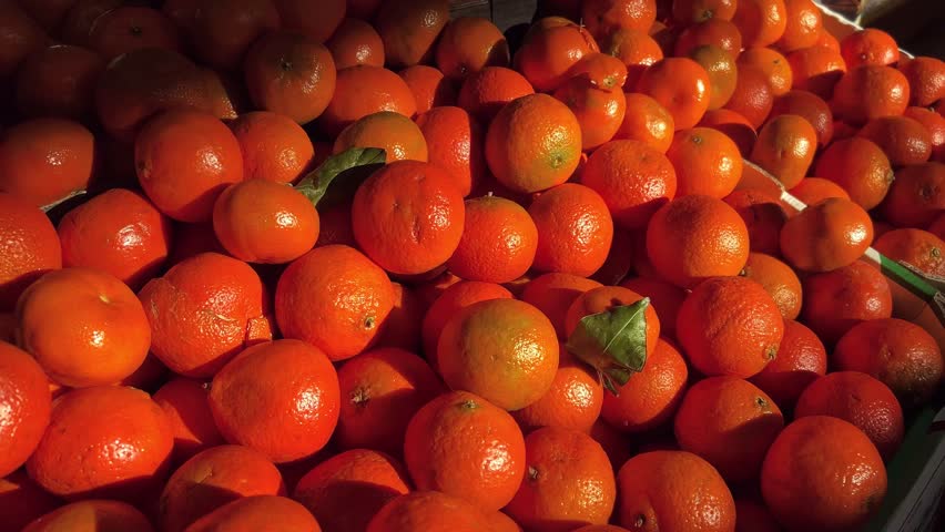 fresh oranges beautifully arranged and showcased in a local market setting