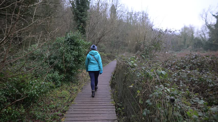 Roche Abbey is a 12th century Cistercian monastery with one of the most complete ground plans in England.  It is ideal for  exploring the ruins, the landscaped valley and the nearby castles and garden