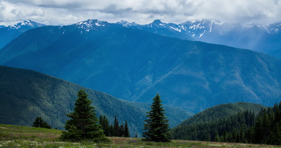 Olympic National Park, Washington, USA