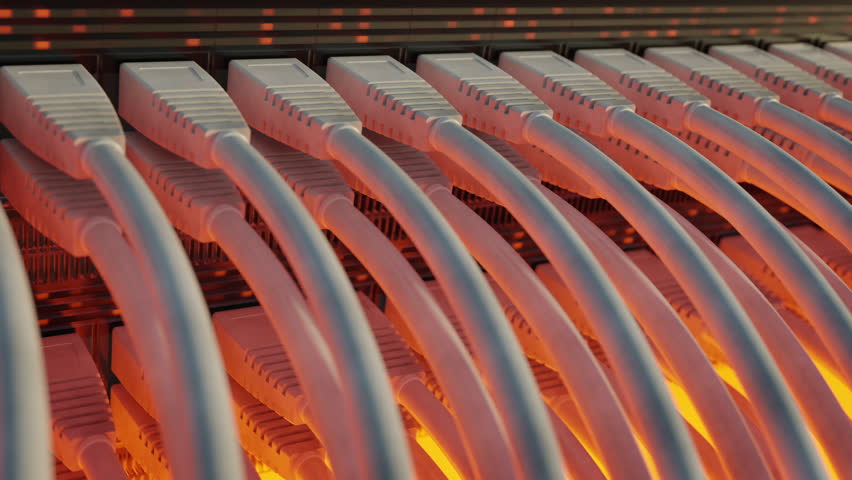 A close-up of network cables connected to a switch. - Powered by Shutterstock - Get 15% off with code: PIKWIZARD15