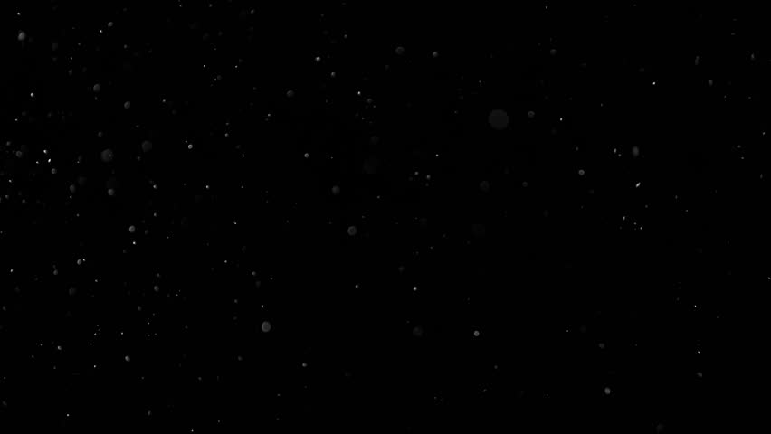 Dynamic Dust Particles Randomly Float In Space With Slow Motion. Shimmering Glittering Particles With Bokeh. Real Colored Particles In Air. Natural Organic Dust Particles Floating On Black Background.