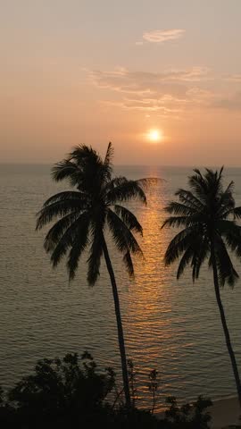 Aerial view of sunset casts golden hues over the sea with tropical palm silhouettes. Ko Pha Ngan, Thailand.