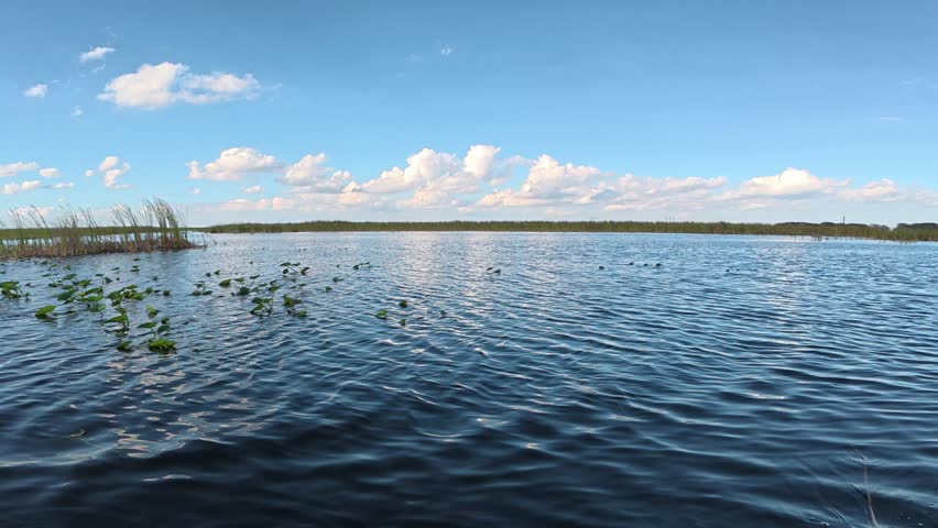 Vegetation and water leading to the horizon in The Everglades, Florida, USA
