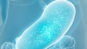 Take capsule, take probiotics, diffuse particles in the stomach, promote gastric motility, and show the whole process of medication.3d animation. - Powered by Shutterstock - Get 15% off with code: PIKWIZARD15