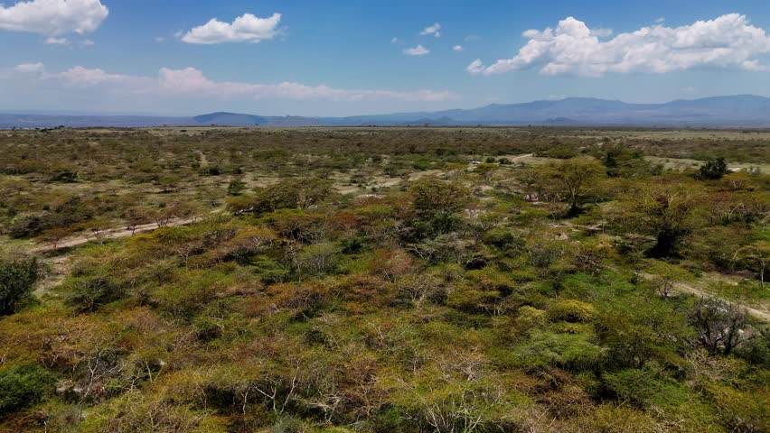 Kenyan plains and deserts drone view