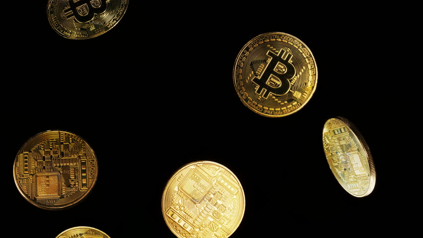 Physical golden plated coins with the Bitcoin logo rotating and falling down in air on black background.