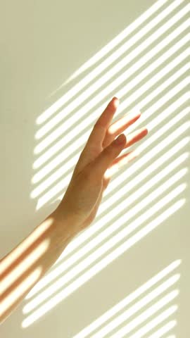 A warm, golden ray of sunlight filters through the window blinds, casting soft, striped patterns of light and shadow across the room.