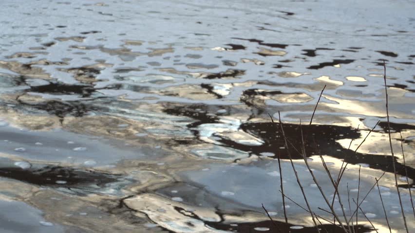 A close-up view of bare shrub branches along a riverbank, with the water surface displaying rippling patterns and foam. The reflections and textures create a dynamic visual effect.