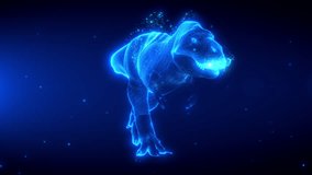 Glowing holographic 3D animation of a rotating Tyrannosaurus Rex, revealing details. Futuristic scanning effect with sci-fi aesthetics. Last 20 seconds seamless Loop - Powered by Shutterstock - Get 15% off with code: PIKWIZARD15