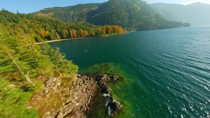 FPV Aerial view of colourful forest on mountain slopes and Harrison Lake. Canada