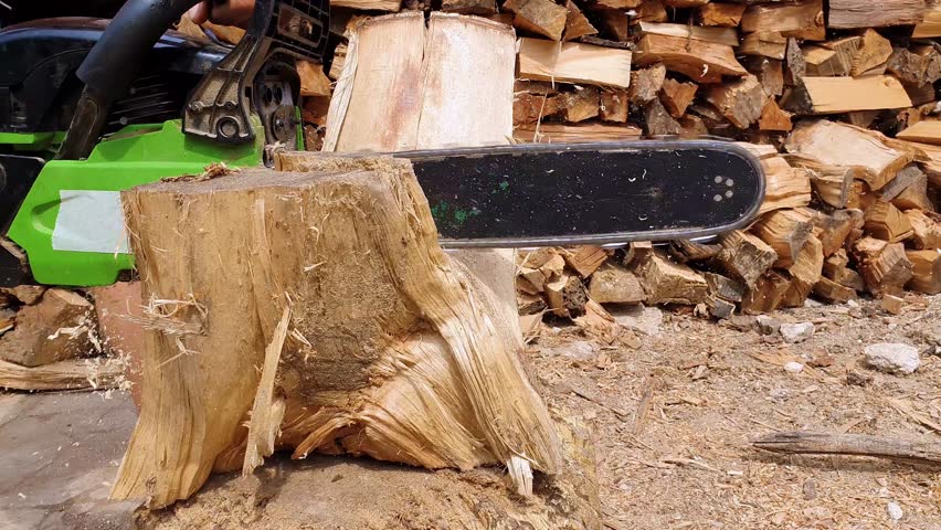 Close up of lumberjack or logger hands cutting wood for logs using his chainsaw. Woodcutter working and sawdust fly to sides.