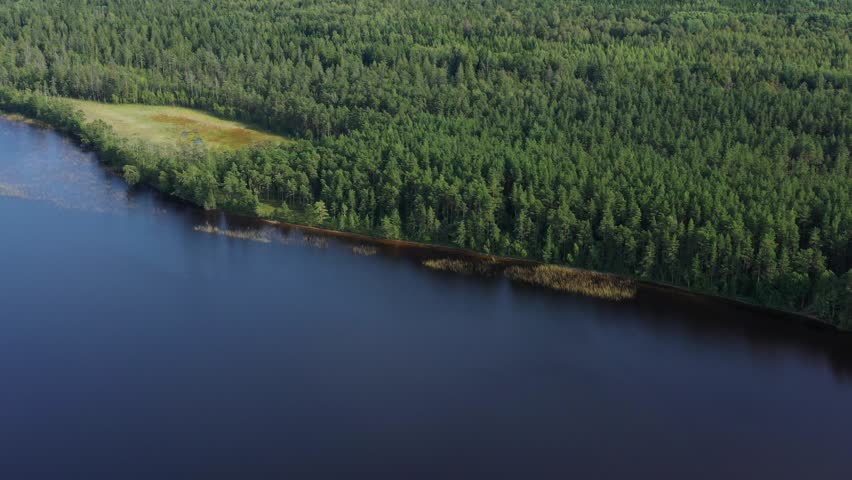 Aerial view on summer forest and lake. Wild nature