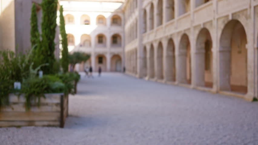 Blurred image of people walking in a university campus courtyard with historic architecture and bokeh plants in the foreground.