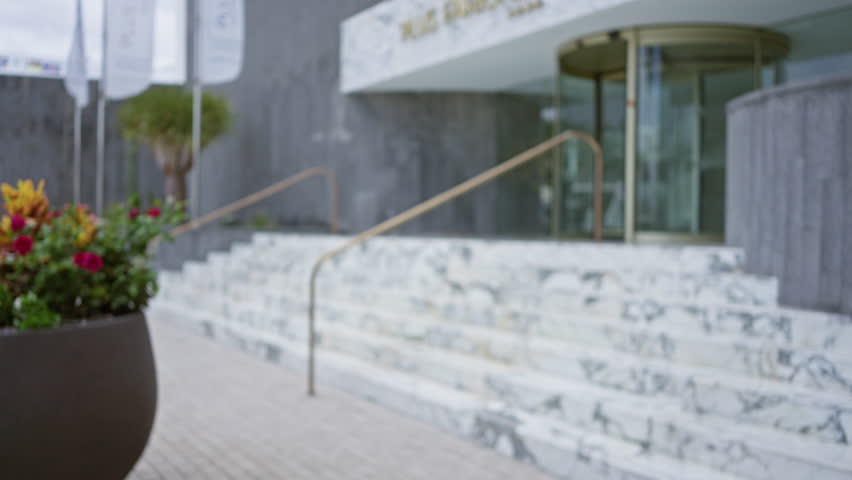 Blurry image showing the entrance of a hotel lobby with marble steps and a revolving door, emphasized by a defocused potted plant and flags in the background