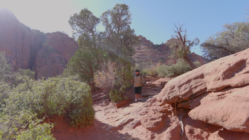 A passionate traveler enjoys an invigorating hike through the stunning landscapes of Zion National Park, surrounded by vibrant nature and majestic red rock formations that enhance the experience