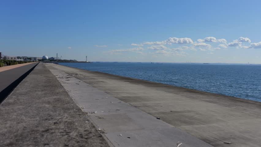 Maihama, Japan Chiba January 2025