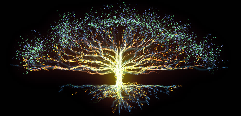 Lines grow from roots into trees, and leaves emit particles. Line tree growth can be used in character growth process, corporate development culture, AI brain learning, and 3D animation.