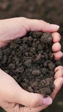 woman farmer pours environmentally friendly soil hands, touching soil field with fingers, farmer organic gardening engineer, growing seeds, growing vegetables field farm, business, hands soil close-up