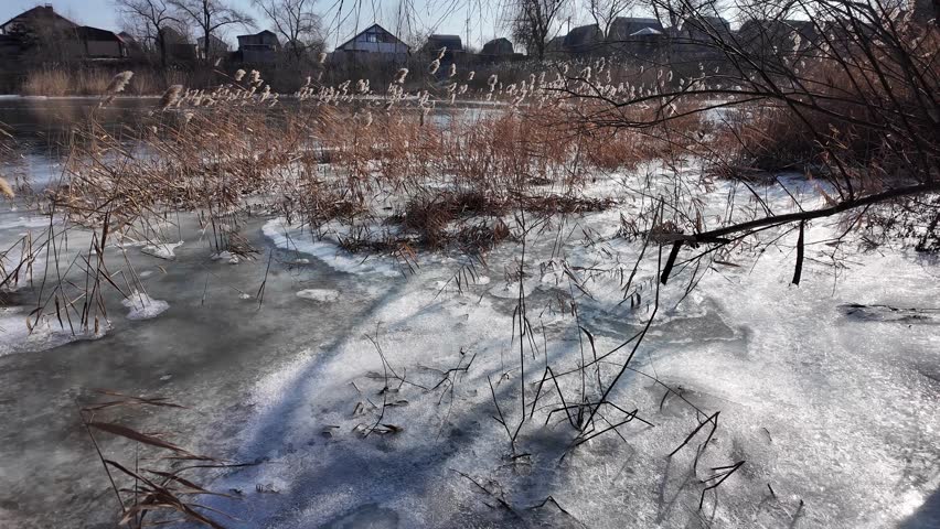 frozen lake. famous place. river in ice. reeds on the shore in ice. beautiful ice on the lake. winter natural landscape. high definition footage. 
