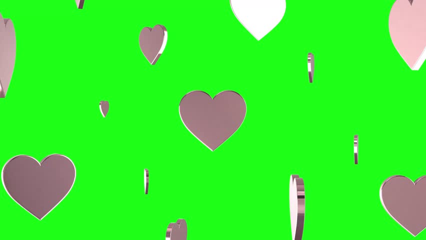 Raining spinning pink metal heart shapes on green screen background perfect for valentine days wallpaper 