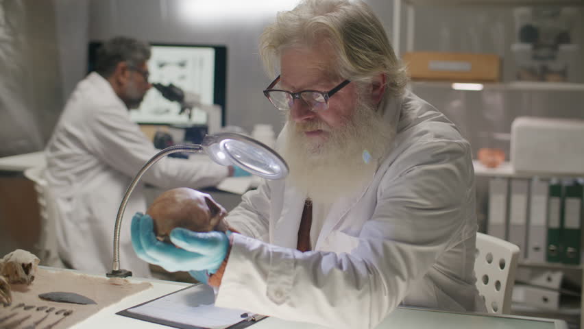 Elderly archaeologist wearing lab coat and gloves analyzing ancient skull under magnifying lamp and taking notes at desk in research laboratory