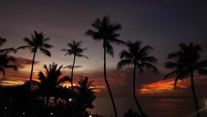 Drone Ascends Above Palm Tree Silhouette At Sunset, Guam
