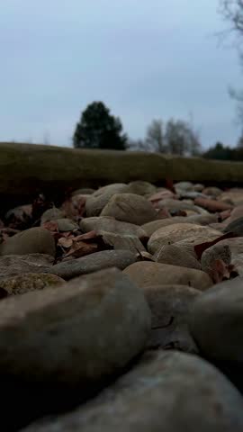 A close-up shot of smooth river stones in an outdoor park with a blurred background of bare trees on a cloudy day
