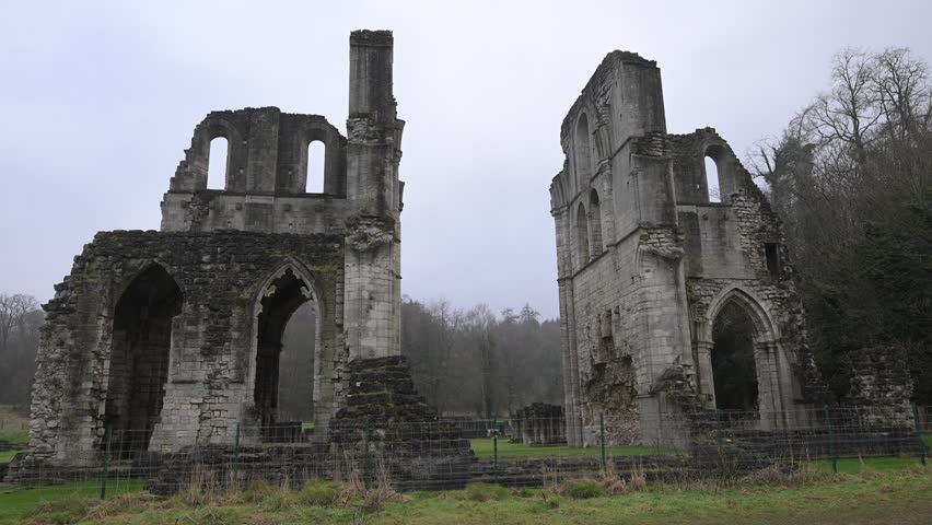Roche Abbey is a 12th century Cistercian monastery with one of the most complete ground plans in England.  It is ideal for  exploring the ruins, the landscaped valley and the nearby castles and garden