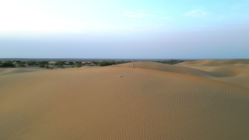 A vast dune with golden sand, bathed in warm sunlight under a clear blue sky and a small bird sits peacefully on the sand Jaisalmer Rajasthan India 4K Drone Orbit