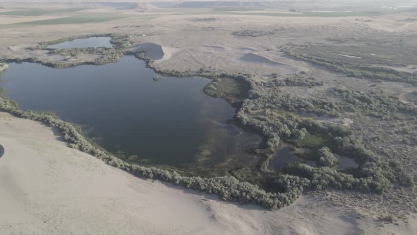 Bruneau Sand Dunes in Idaho
