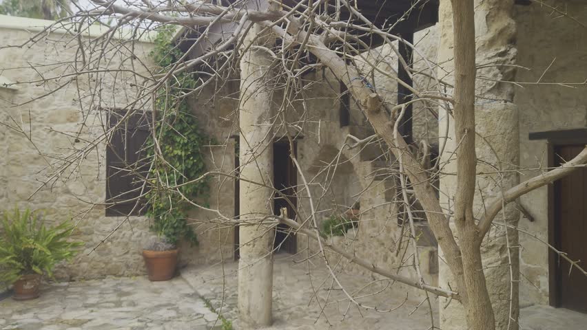 Exploring a quiet courtyard with rustic stone architecture and a bare tree in a serene environment