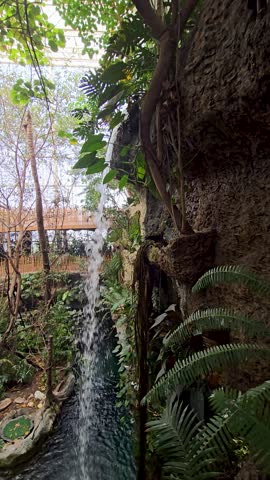 footage a waterfall, a pond with lush green trees and plants at the Dallas World Aquarium in Dallas Texas USA