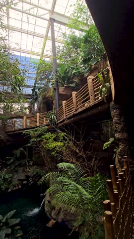 footage a waterfall, a pond with lush green trees and plants at the Dallas World Aquarium in Dallas Texas USA