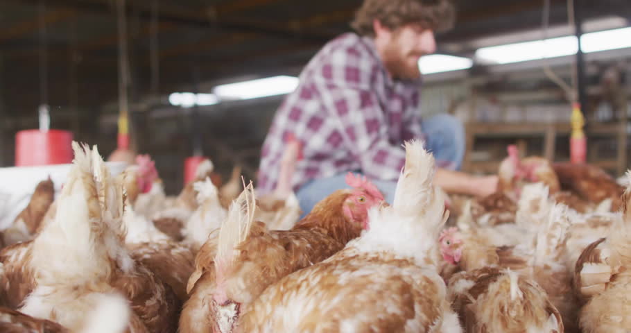 Earth Day animation over man feeding chickens in barn. Sustainability, environment, agriculture, farming, green, poultry