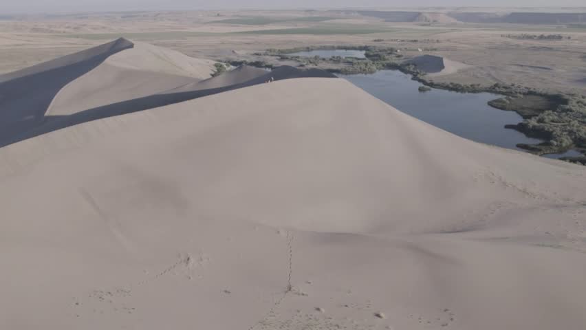 Bruneau Sand Dunes in Idaho