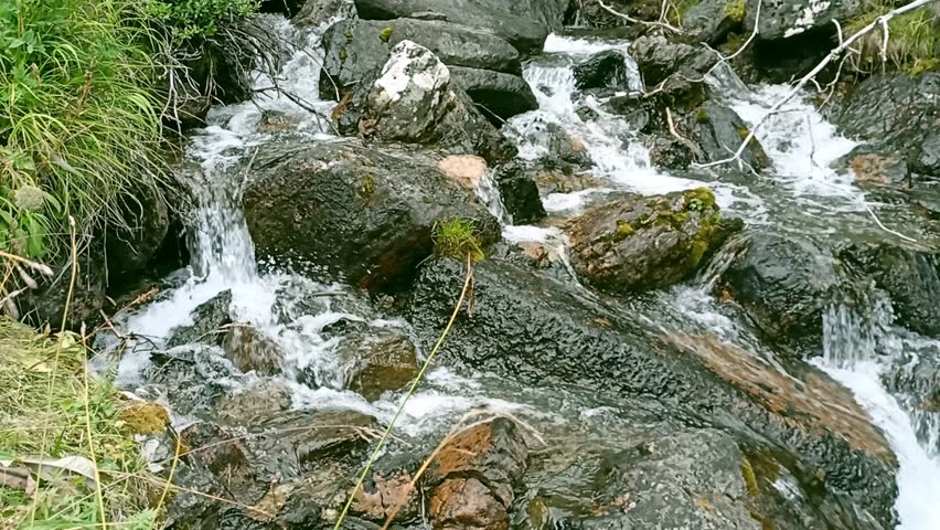 A fast mountain stream flows down the mountain in a cascade waterfall through a coniferous forest, skirting rocks along its path.
