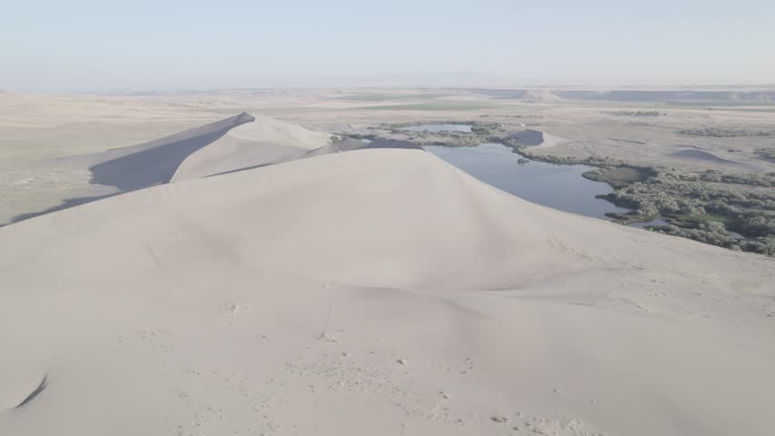 Bruneau Sand Dunes in Idaho