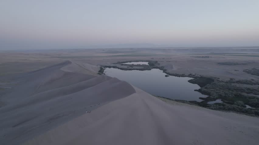 Bruneau Sand Dunes in Idaho