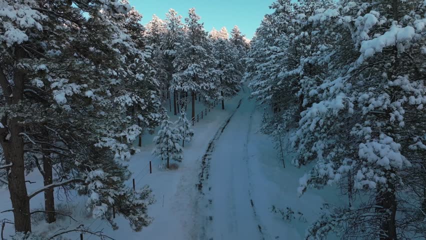 Snowy Valley road Forest Evergreen Meadows Conifer Colorado aerial drone Colorado sunset blue hour winter frosted trees cold frozen deep snow December North Turkey Creek Rocky Mountain forward motion