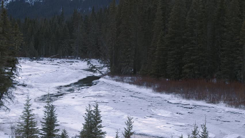 Rocky Mountain spring: Kananaskis River flows beneath layer of ice