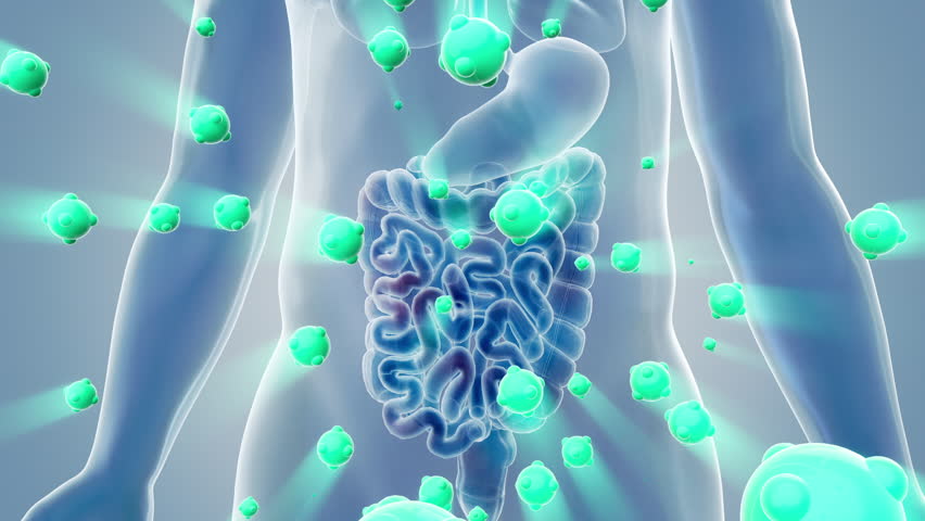 Drug molecules or probiotics act on the gastrointestinal tract, restoring the healthand vitality of the gastrointestinal tract.3d animation.