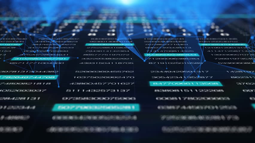 Shutterstock Video