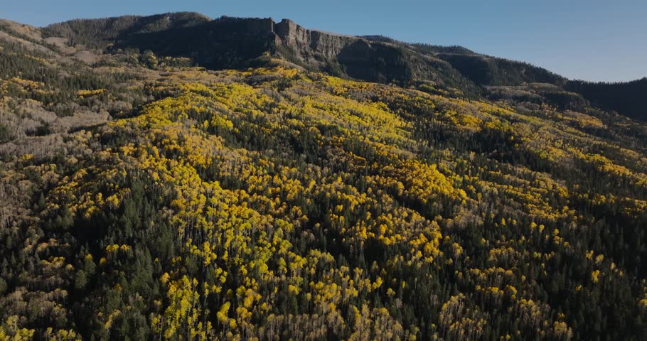 Golden fall forest in Pagosa Springs, Colorado with stunning aerial mountain view