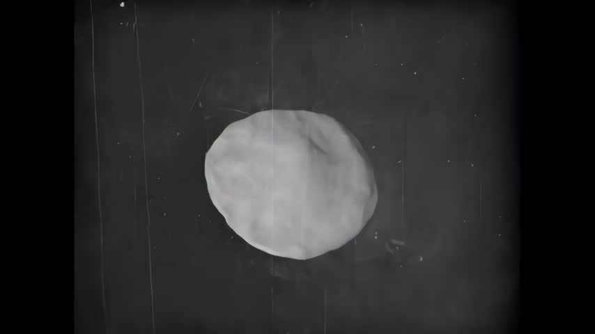 Vintage black and white rose animated putty clay animation. Animation of a rose with leaves. The rose is fully bloomed, with detailed petals. Grayscale botanical clay animation short video.