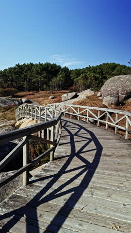 Rustic Wooden Pathway in a Scenic Forest Landscape